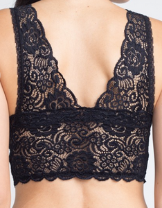 Padded Lace Bralette (7 Colours)